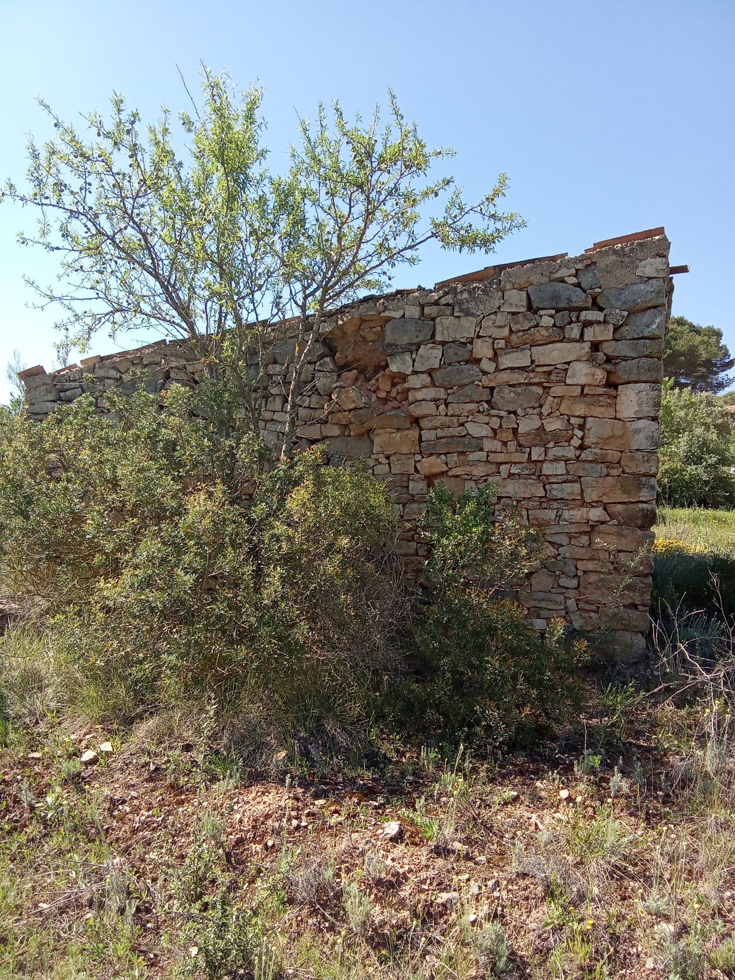 Imagen del Inmueble