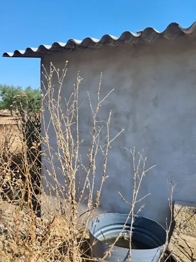 Finca de Olivos en Arbeca   LLEIDA